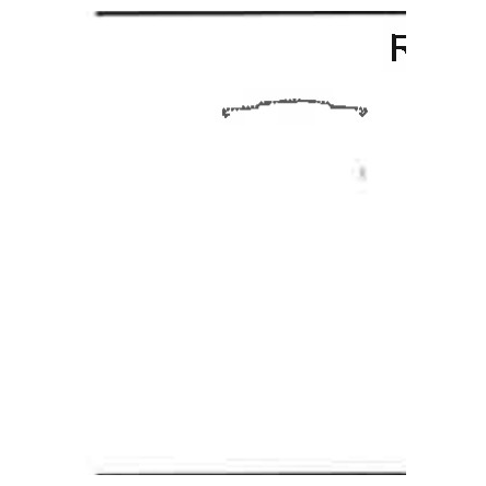 QPT Res Rake cross-section profile